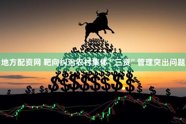 地方配资网 靶向纠治农村集体“三资”管理突出问题
